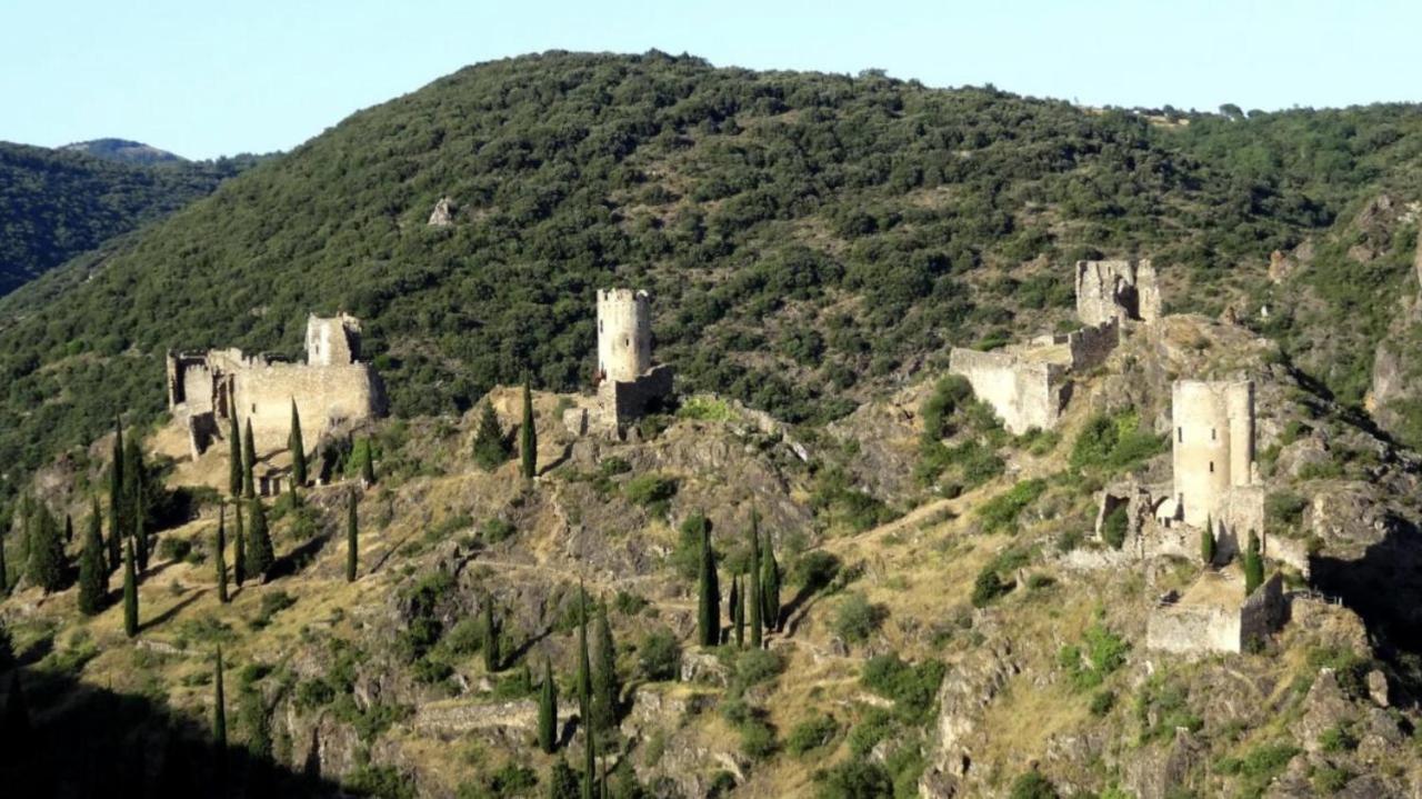 La Maison De Leontine La Liviniere Exteriör bild